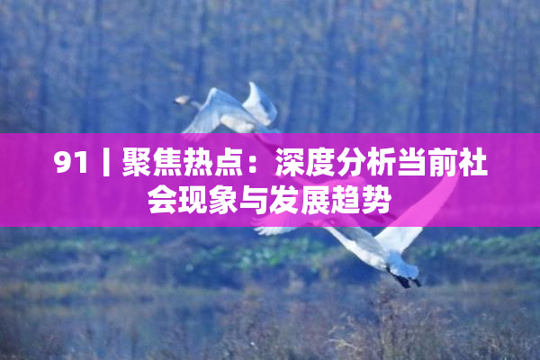 91丨聚焦热点：深度分析当前社会现象与发展趋势