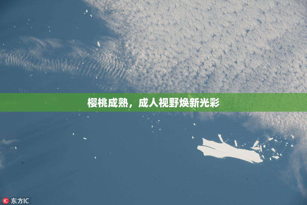 樱桃成熟，成人视野焕新光彩