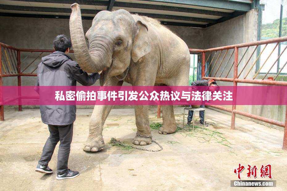 私密偷拍事件引发公众热议与法律关注