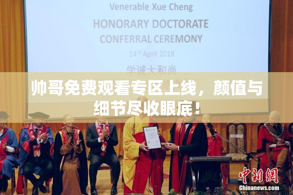 帅哥免费观看专区上线，颜值与细节尽收眼底！