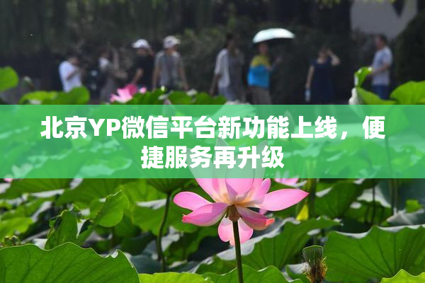 北京YP微信平台新功能上线，便捷服务再升级