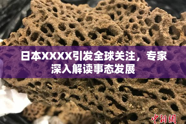 日本XXXX引发全球关注，专家深入解读事态发展