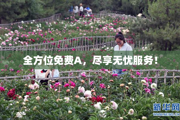 全方位免费A，尽享无忧服务！