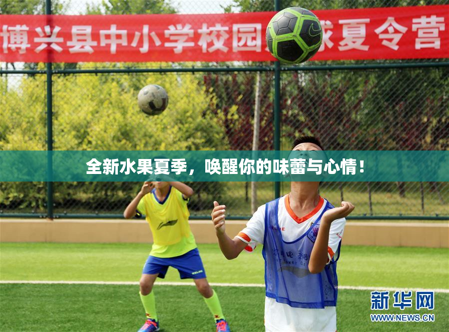 全新水果夏季，唤醒你的味蕾与心情！