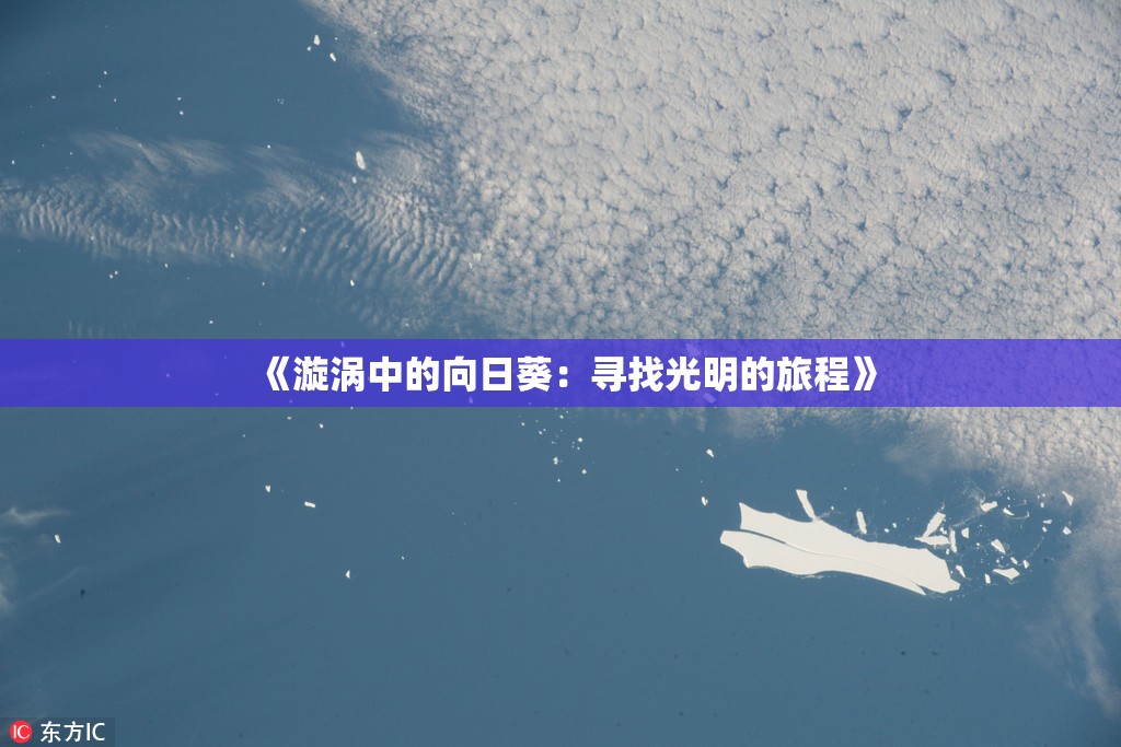 《漩涡中的向日葵：寻找光明的旅程》