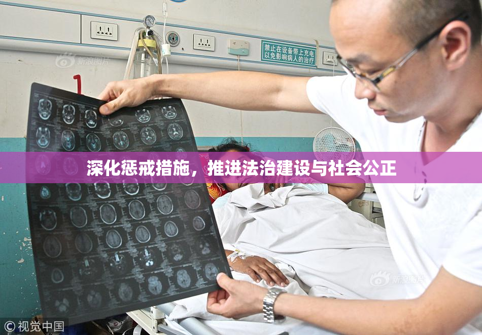 深化惩戒措施，推进法治建设与社会公正