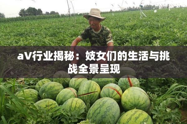 aV行业揭秘：妓女们的生活与挑战全景呈现