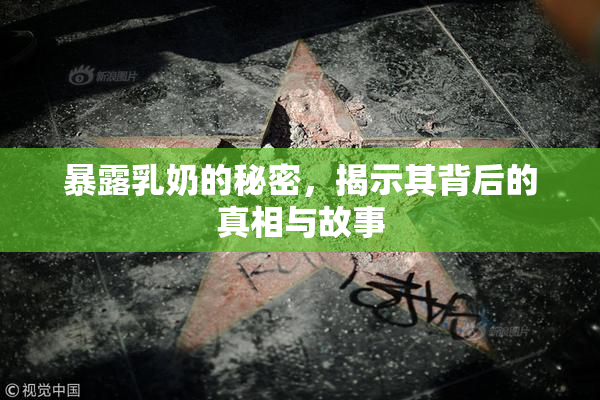 暴露乳奶的秘密，揭示其背后的真相与故事
