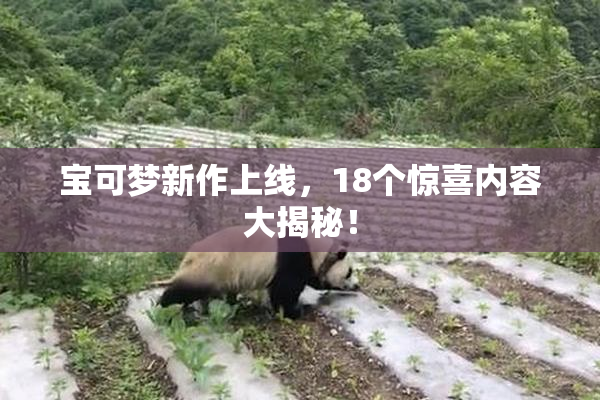 宝可梦新作上线，18个惊喜内容大揭秘！