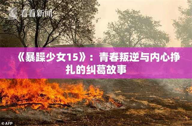 《暴躁少女15》：青春叛逆与内心挣扎的纠葛故事