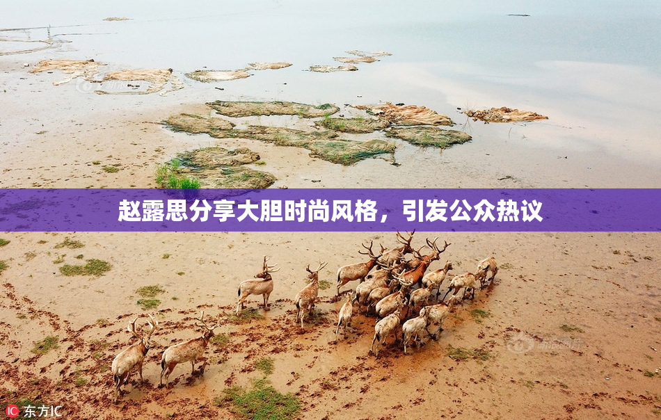 赵露思分享大胆时尚风格，引发公众热议