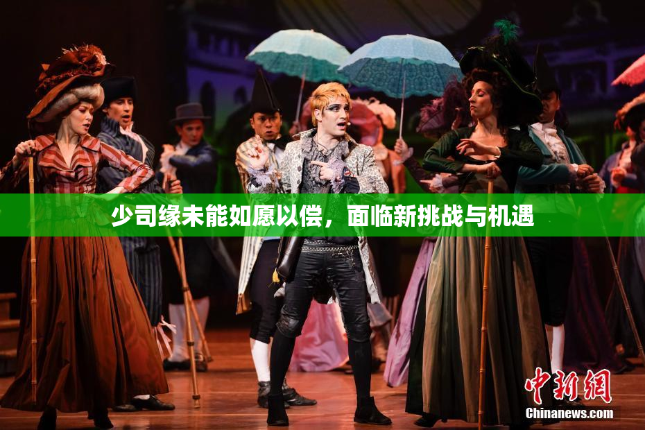 少司缘未能如愿以偿，面临新挑战与机遇