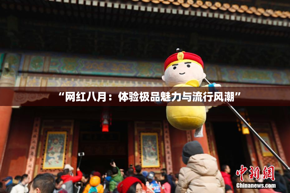 “网红八月：体验极品魅力与流行风潮”