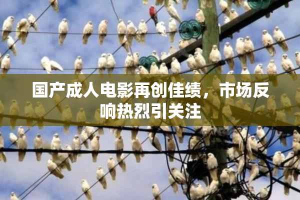 国产成人电影再创佳绩，市场反响热烈引关注