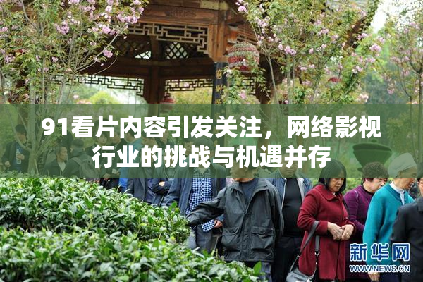 91看片内容引发关注，网络影视行业的挑战与机遇并存