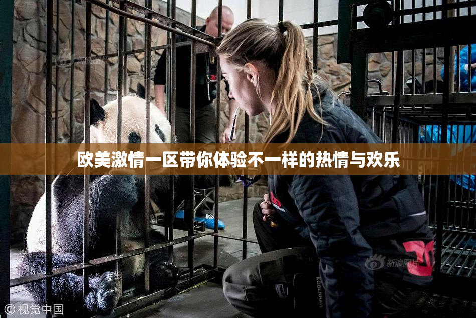 欧美激情一区带你体验不一样的热情与欢乐