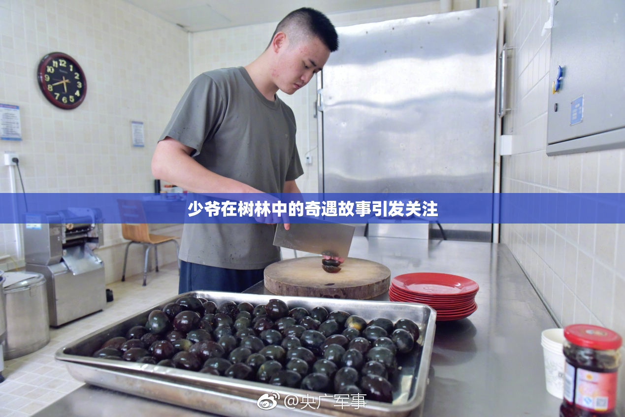 少爷在树林中的奇遇故事引发关注