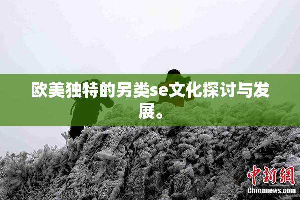 欧美独特的另类se文化探讨与发展。