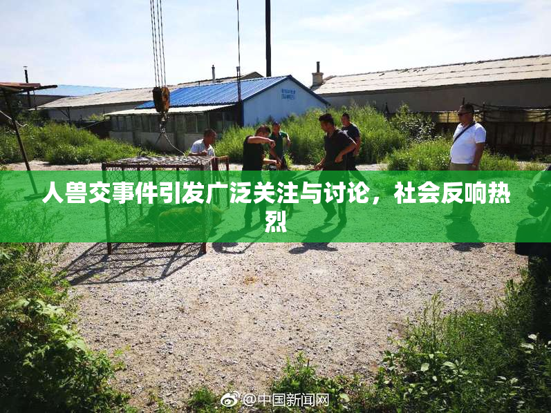 人兽交事件引发广泛关注与讨论，社会反响热烈