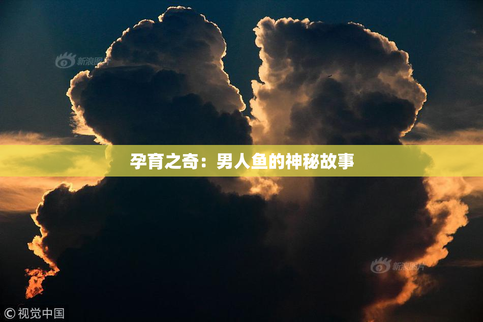 孕育之奇：男人鱼的神秘故事