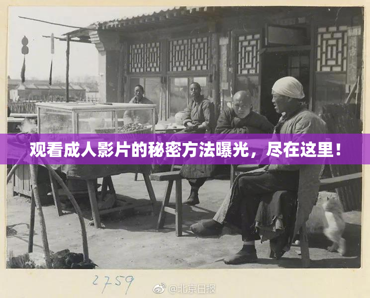观看成人影片的秘密方法曝光，尽在这里！
