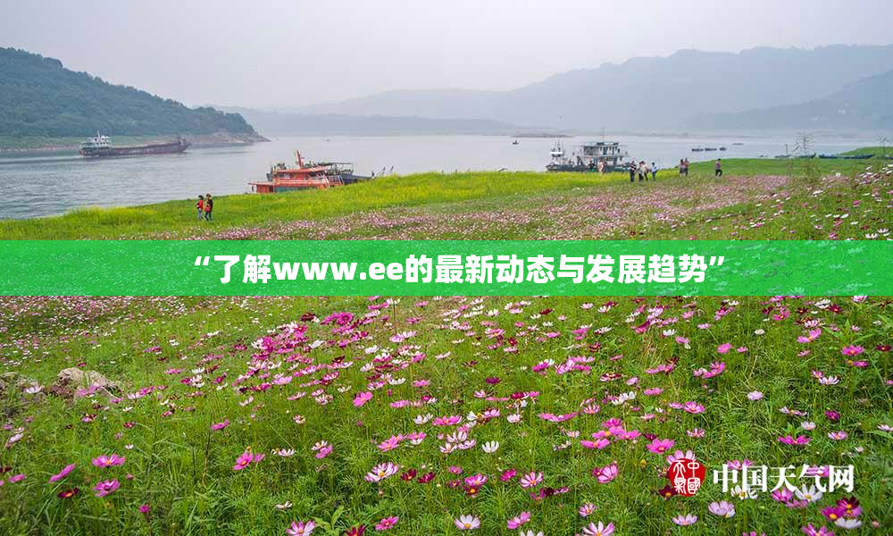 “了解www.ee的最新动态与发展趋势”