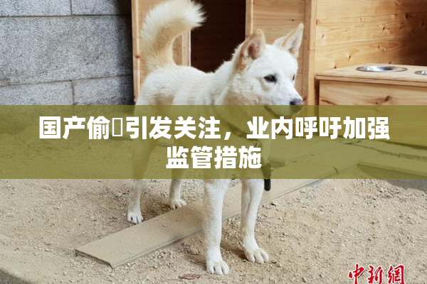 国产偷抇引发关注，业内呼吁加强监管措施