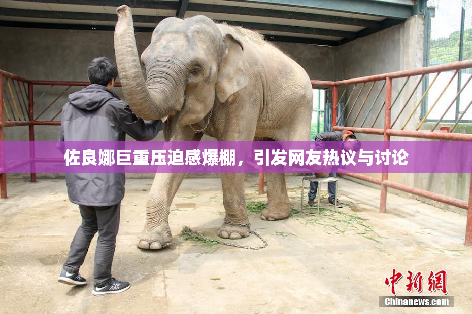 佐良娜巨重压迫感爆棚，引发网友热议与讨论