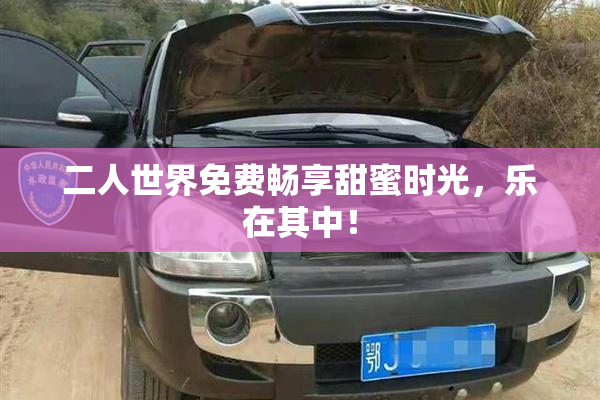 二人世界免费畅享甜蜜时光，乐在其中！