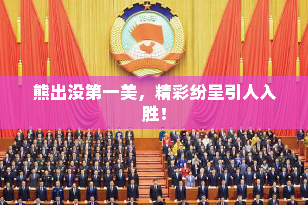 熊出没第一美，精彩纷呈引人入胜！