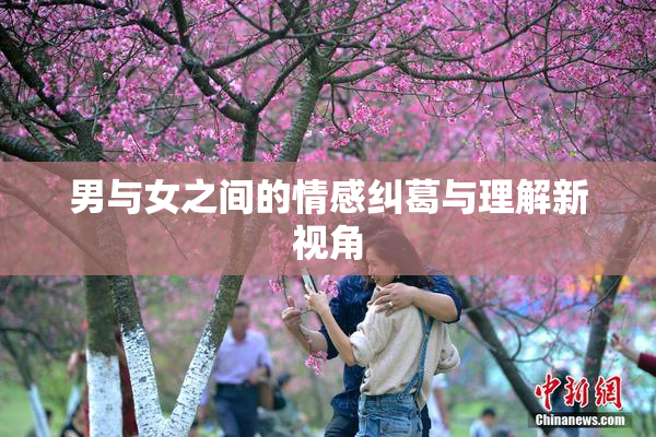 男与女之间的情感纠葛与理解新视角