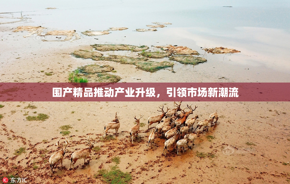 围产精品推动产业升级，引领市场新潮流
