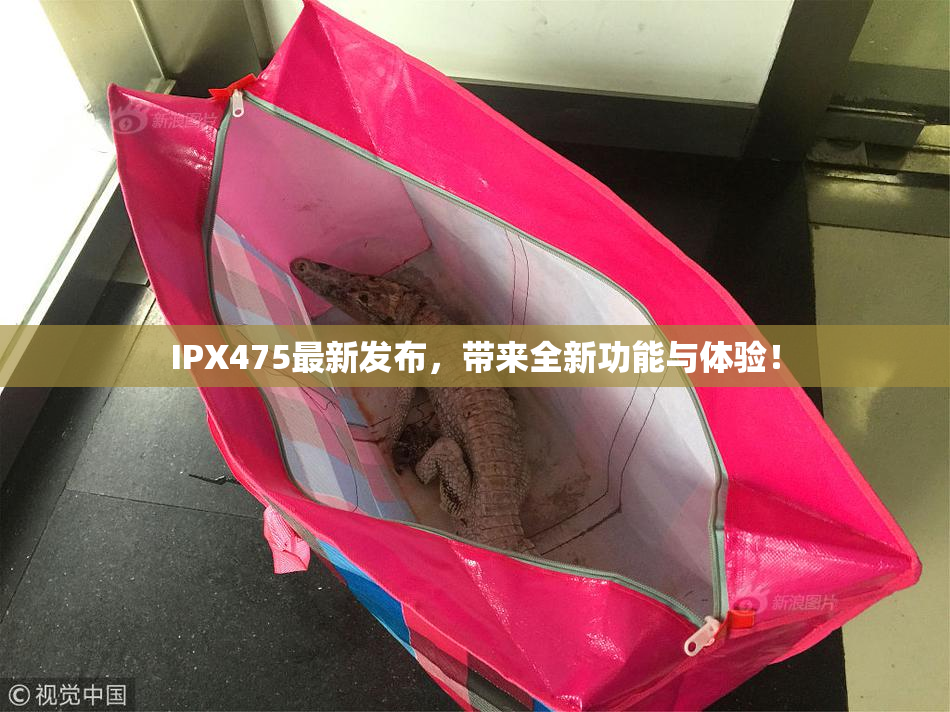 IPX475最新发布，带来全新功能与体验！