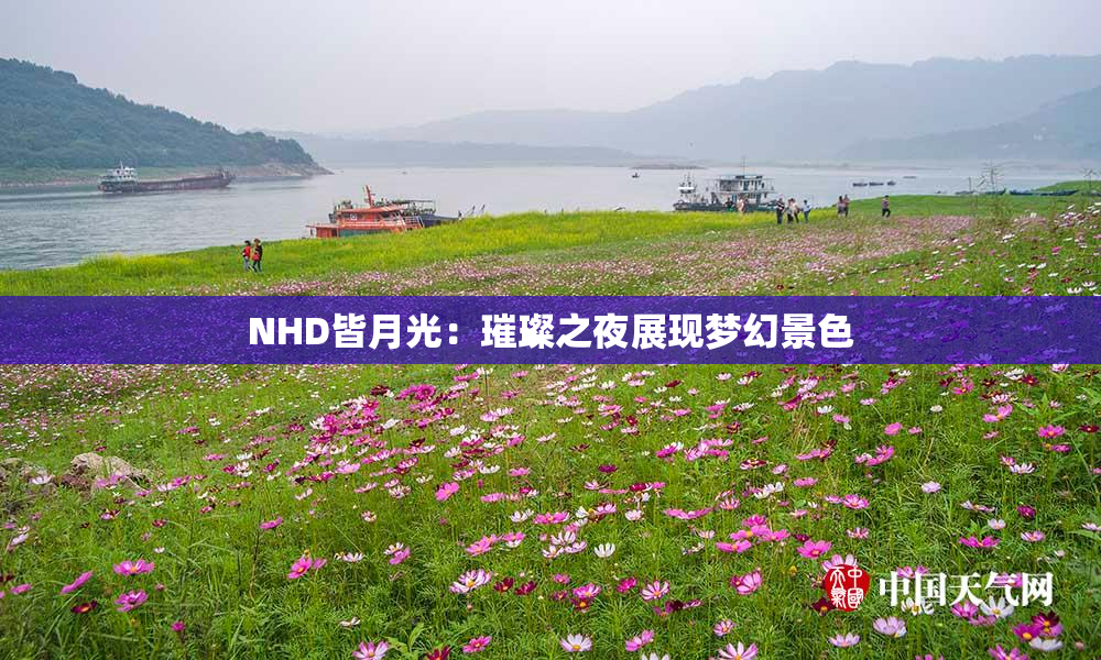 NHD皆月光：璀璨之夜展现梦幻景色