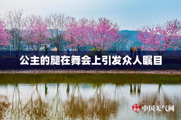 公主的腿在舞会上引发众人瞩目