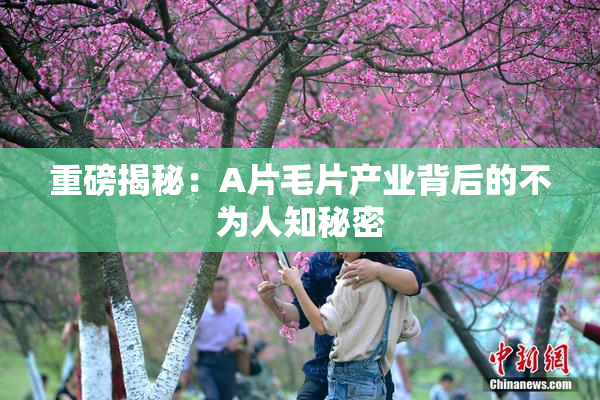 重磅揭秘：A片毛片产业背后的不为人知秘密