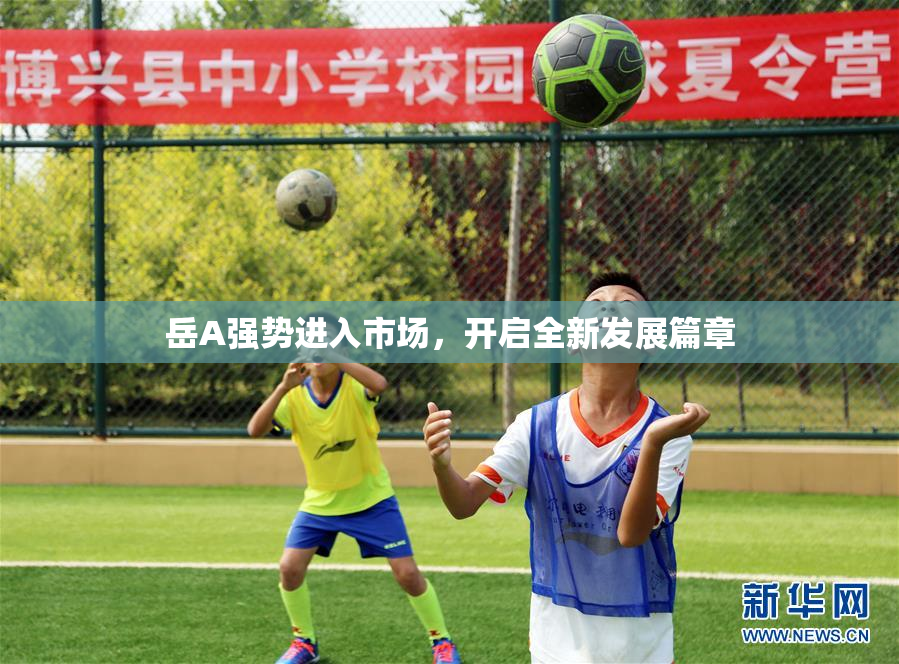 岳A强势进入市场，开启全新发展篇章