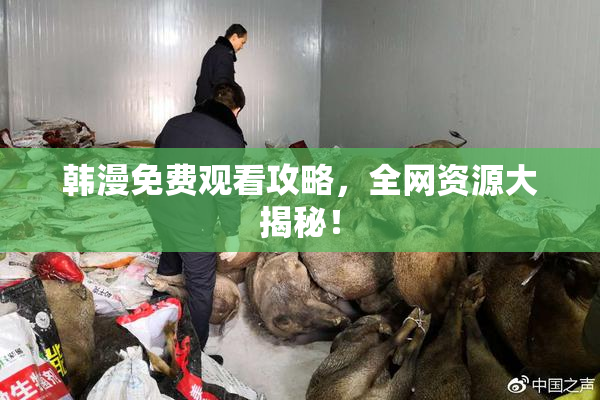 韩漫免费观看攻略，全网资源大揭秘！