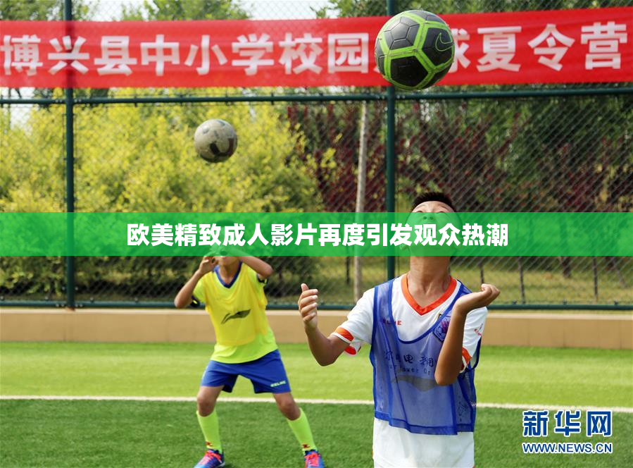 欧美精致成人影片再度引发观众热潮