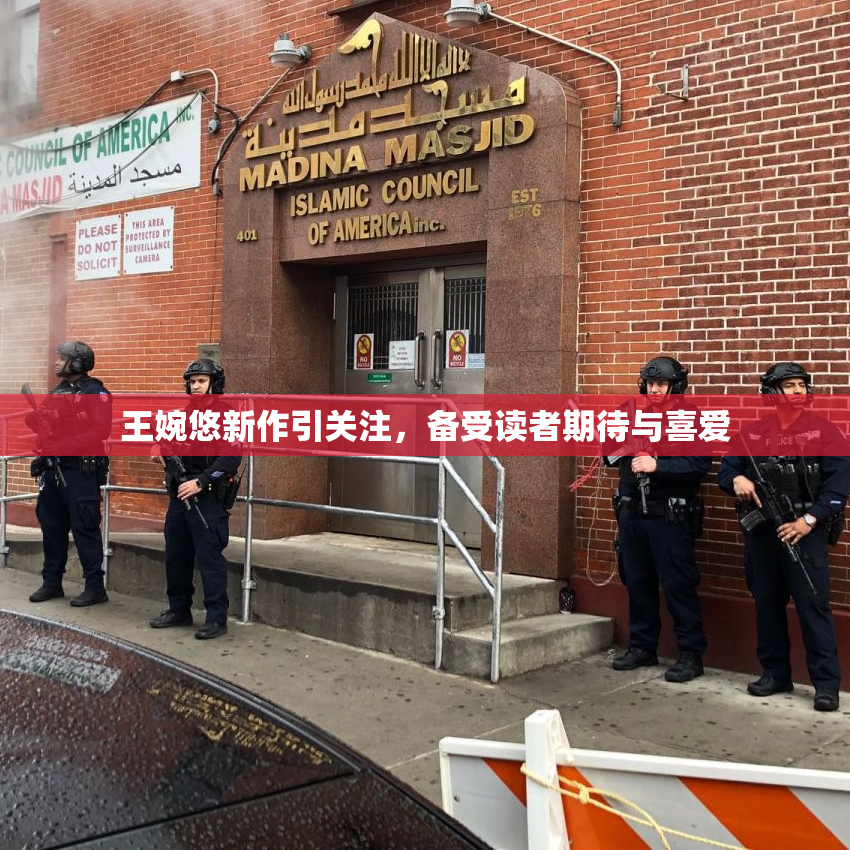王婉悠新作引关注，备受读者期待与喜爱