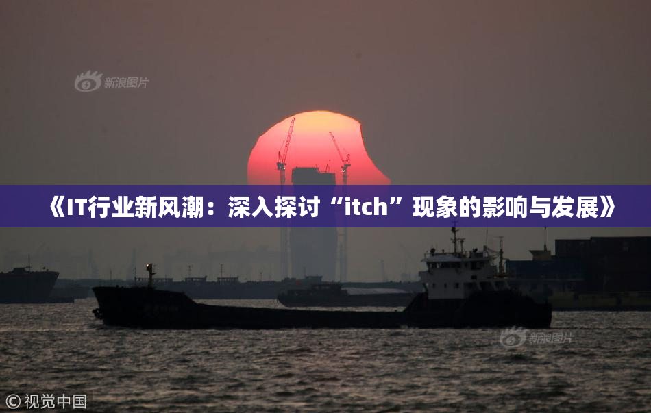 《IT行业新风潮：深入探讨“itch”现象的影响与发展》