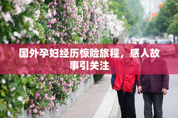 国外孕妇经历惊险旅程，感人故事引关注