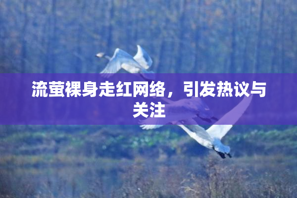 流萤裸身走红网络，引发热议与关注