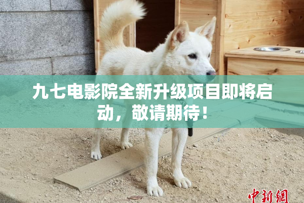 九七电影院全新升级项目即将启动，敬请期待！