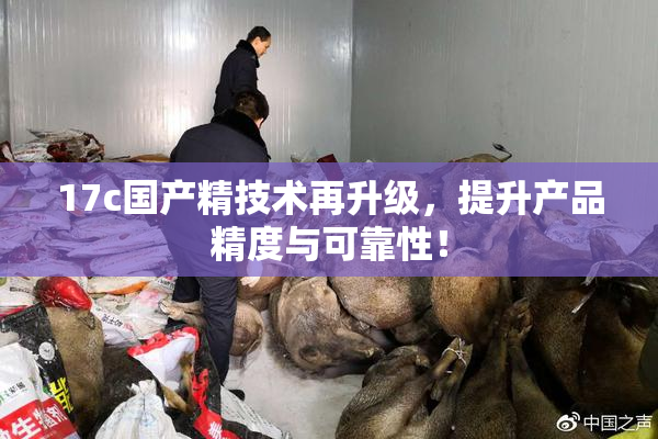 17c国产精技术再升级，提升产品精度与可靠性！