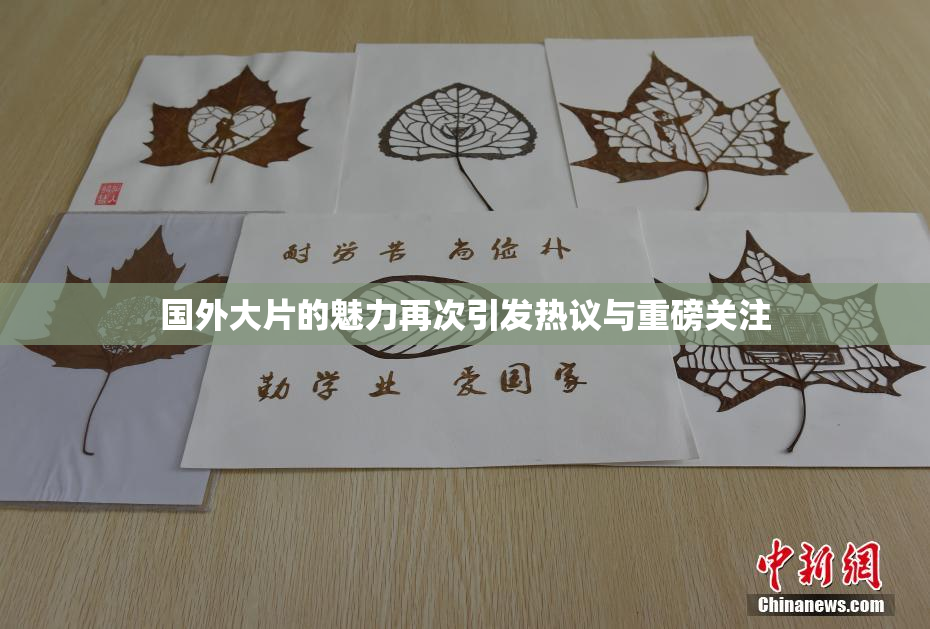 国外大片的魅力再次引发热议与重磅关注