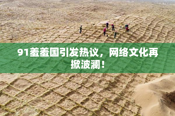 91羞羞国引发热议，网络文化再掀波澜！