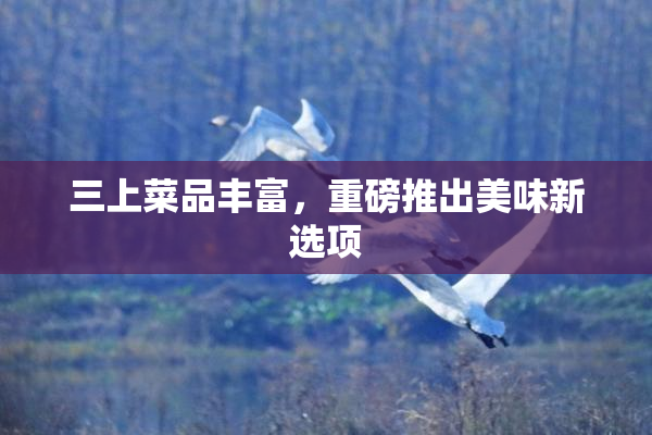 三上菜品丰富，重磅推出美味新选项
