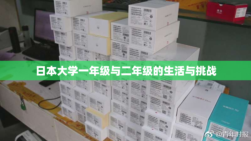 日本大学一年级与二年级的生活与挑战