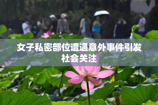 女子私密部位遭遇意外事件引发社会关注